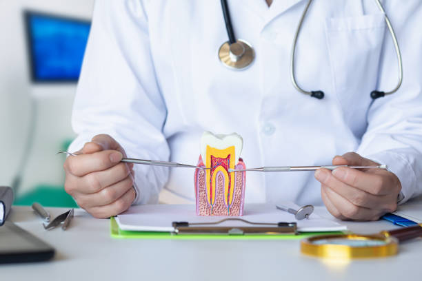 Best Same-Day Emergency Dental Services in Mccrory, AR